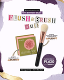 Flush & Brush Duo