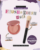 Flush & Brush Duo # 2