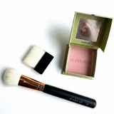 Flush & Brush Duo